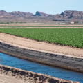 The Impact of Agricultural Development on Air and Water Quality in North-Central Colorado: An Expert's Perspective