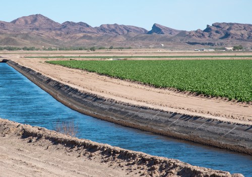 The Impact of Agricultural Development on Air and Water Quality in North-Central Colorado: An Expert's Perspective