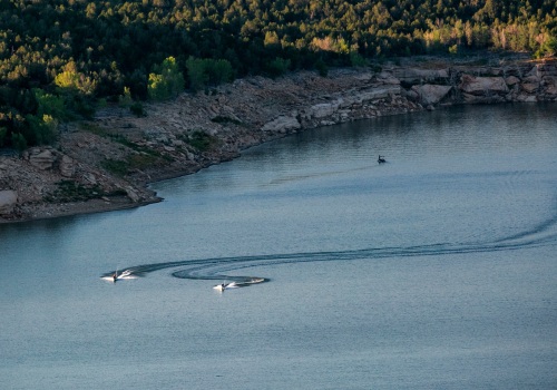 Improving Water Quality in North-Central Colorado